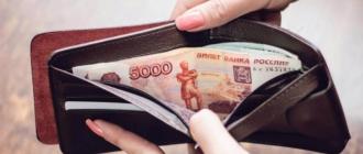 Welche Farbe sollte eine Brieftasche haben, um Geld anzuziehen: Zeichen, Feng Shui